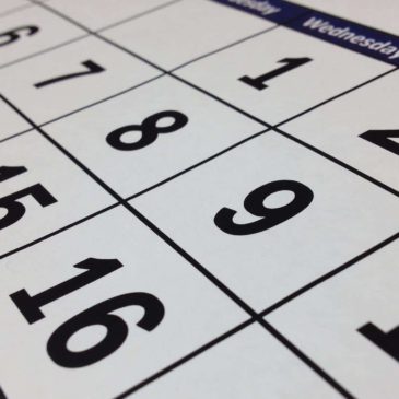 Adding an availability calendar to your WordPress website (with pictures)