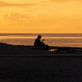 Person in silhouette, reading by the sea as the sun is setting