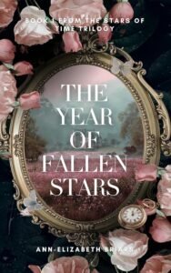 The Year of Fallen Stars by Ann-Elizabeth Briars